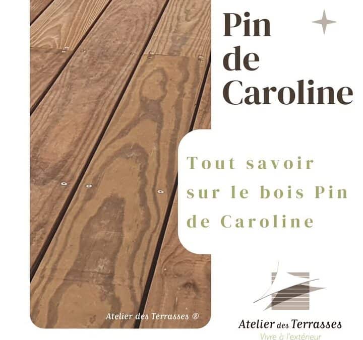 🪵 Pin de Caroline  Le Pin de Caroline, un bois…