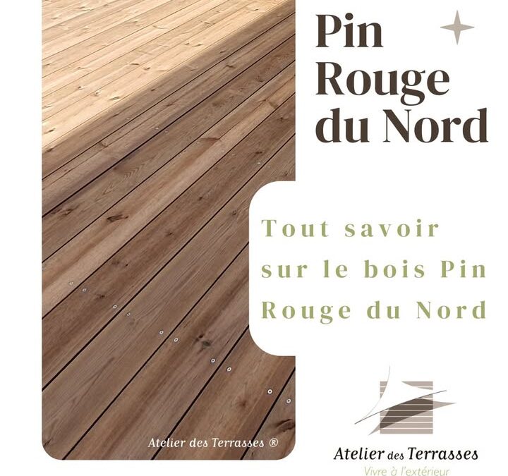 🪵 Pin Rouge du Nord  Originaire des forêts scandinaves et…